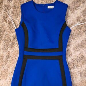 Calvin Klein Women's Sleeveless Scuba Colorblock Sheath Dress (Size 4)